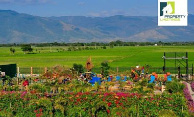 FLOWER FARM WITH MOUNTAIN VIEWS FOR SALE PANGASINAN