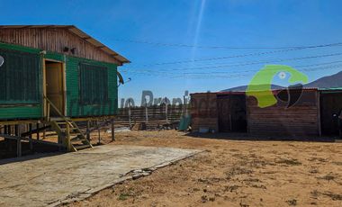 Venta de Sitio de 470 m2 con dos cabañas. Guanaqueros, Coquimbo. $50 millones