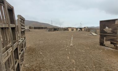 Venta de Terreno Industrial en Parque Porcino I, Dos Frentes, Ventanilla, Callao