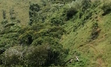 Venta Finca Ganadera y Agrícola San Roque Antioquia