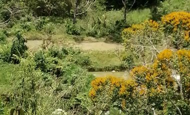 Venta Finca Ganadera y Agrícola San Roque Antioquia