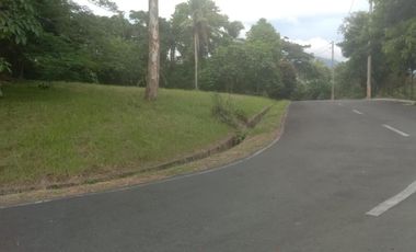 Tagaytay Midlands | Residential Lot For Sale - #7197
