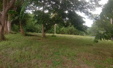 Tagaytay Midlands | Residential Lot For Sale - #7197