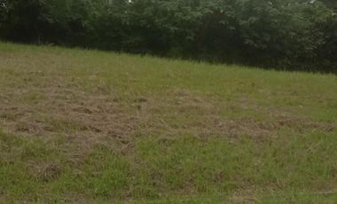 Tagaytay Midlands | Residential Lot For Sale - #7197