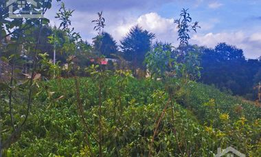 VENTA DE TERRENO EN MINERAL DEL CHICO CARBONERAS.