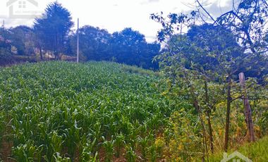 VENTA DE TERRENO EN MINERAL DEL CHICO CARBONERAS.