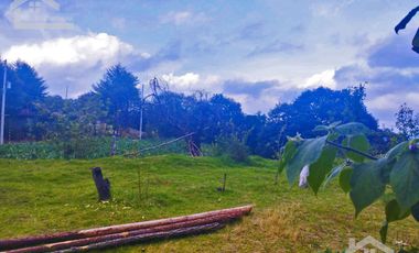 VENTA DE TERRENO EN MINERAL DEL CHICO CARBONERAS.