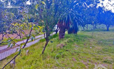 VENTA DE TERRENO EN MINERAL DEL CHICO CARBONERAS.