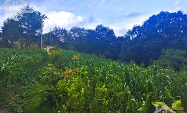 VENTA DE TERRENO EN MINERAL DEL CHICO CARBONERAS.