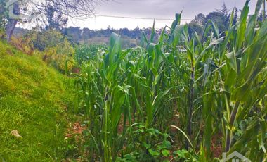 VENTA DE TERRENO EN MINERAL DEL CHICO CARBONERAS.
