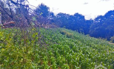 VENTA DE TERRENO EN MINERAL DEL CHICO CARBONERAS.
