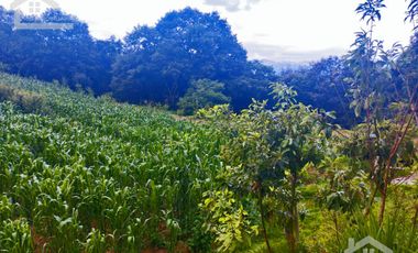 VENTA DE TERRENO EN MINERAL DEL CHICO CARBONERAS.