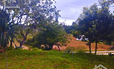 VENTA DE TERRENO EN MINERAL DEL CHICO CARBONERAS.