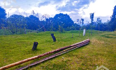 VENTA DE TERRENO EN MINERAL DEL CHICO CARBONERAS.