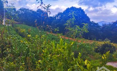 VENTA DE TERRENO EN MINERAL DEL CHICO CARBONERAS.
