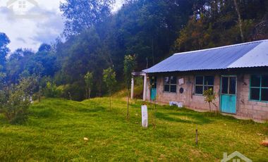 VENTA DE TERRENO EN MINERAL DEL CHICO CARBONERAS.