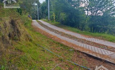 VENTA DE TERRENO EN MINERAL DEL CHICO CARBONERAS.