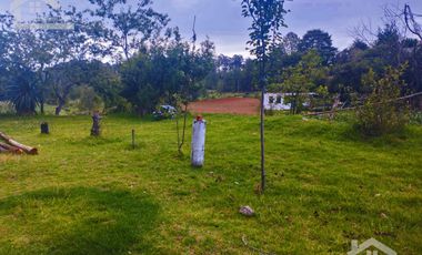 VENTA DE TERRENO EN MINERAL DEL CHICO CARBONERAS.