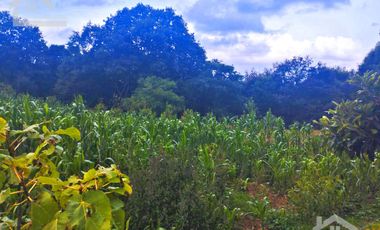 VENTA DE TERRENO EN MINERAL DEL CHICO CARBONERAS.