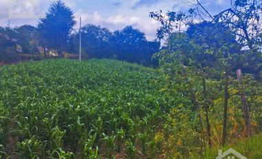 VENTA DE TERRENO EN MINERAL DEL CHICO CARBONERAS.