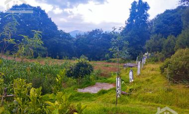 VENTA DE TERRENO EN MINERAL DEL CHICO CARBONERAS.
