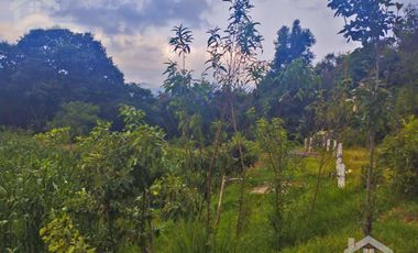 VENTA DE TERRENO EN MINERAL DEL CHICO CARBONERAS.