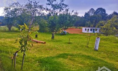 VENTA DE TERRENO EN MINERAL DEL CHICO CARBONERAS.