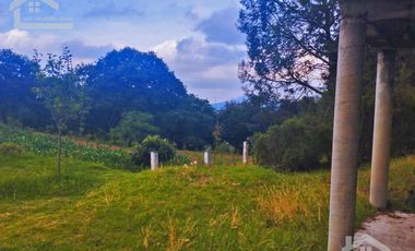 VENTA DE TERRENO EN MINERAL DEL CHICO CARBONERAS.