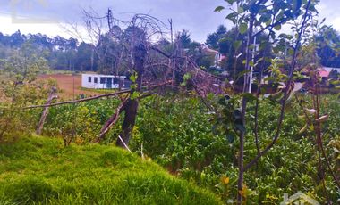 VENTA DE TERRENO EN MINERAL DEL CHICO CARBONERAS.