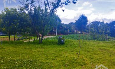 VENTA DE TERRENO EN MINERAL DEL CHICO CARBONERAS.