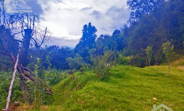 VENTA DE TERRENO EN MINERAL DEL CHICO CARBONERAS.