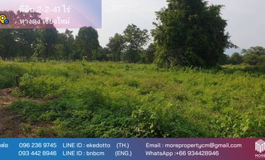 Property id175ls Land for sale in Hangdong 2-2-41 Rai near Grand Canyon water park