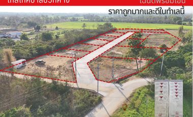Sale allocated land, start 140 sqWa, 770,000Baht, with public utilities, San Kamphaeng District, Chiang Mai