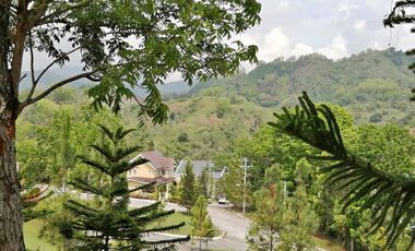 Overlooking Riverdale LOT FOR SALE in Pit-os Talamban Cebu City