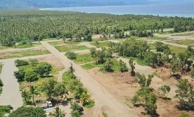 Beach Lot For Sale in Balera Aurora For Sale! Grab yours now!