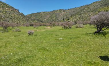 Terreno Agrícola Melipilla - Los Guindos