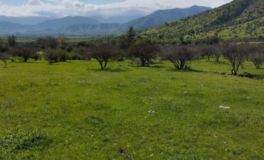 Terreno Agrícola Melipilla - Los Guindos