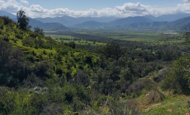 Terreno Agrícola Melipilla - Los Guindos