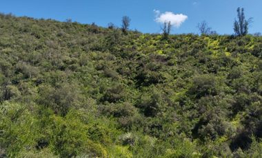 Terreno Agrícola Melipilla - Los Guindos