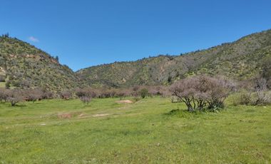 Terreno Agrícola Melipilla - Los Guindos