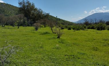 Terreno Agrícola Melipilla - Los Guindos