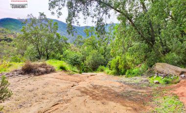 🌳🌲Se vende cabaña en condominio con hermoso bosque nativo🌳🌲
