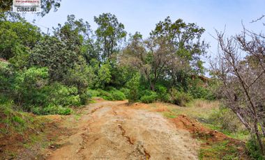 🌳🌲Se vende cabaña en condominio con hermoso bosque nativo🌳🌲