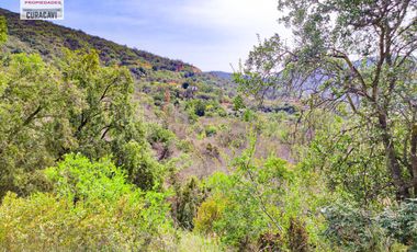 🌳🌲Se vende cabaña en condominio con hermoso bosque nativo🌳🌲
