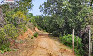 🌳🌲Se vende cabaña en condominio con hermoso bosque nativo🌳🌲