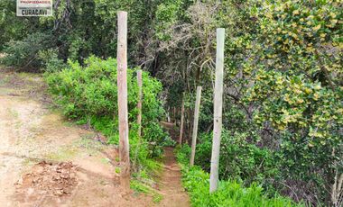 🌳🌲Se vende cabaña en condominio con hermoso bosque nativo🌳🌲