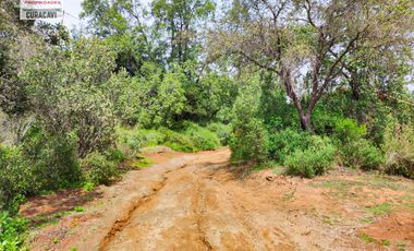 🌳🌲Se vende cabaña en condominio con hermoso bosque nativo🌳🌲