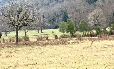 Campo con orilla de rio *1504