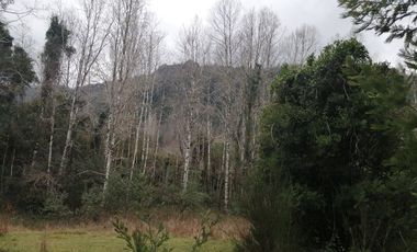 Campo con orilla de rio *1504