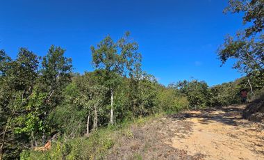 Explora la Naturaleza: Las Lomas te Invita Vive en Armonía con el Entorno en 22 Lotes Campestres